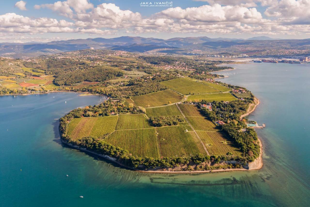 Istrian Lux Residence コペル エクステリア 写真