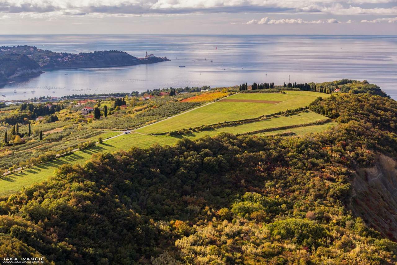 Istrian Lux Residence コペル エクステリア 写真