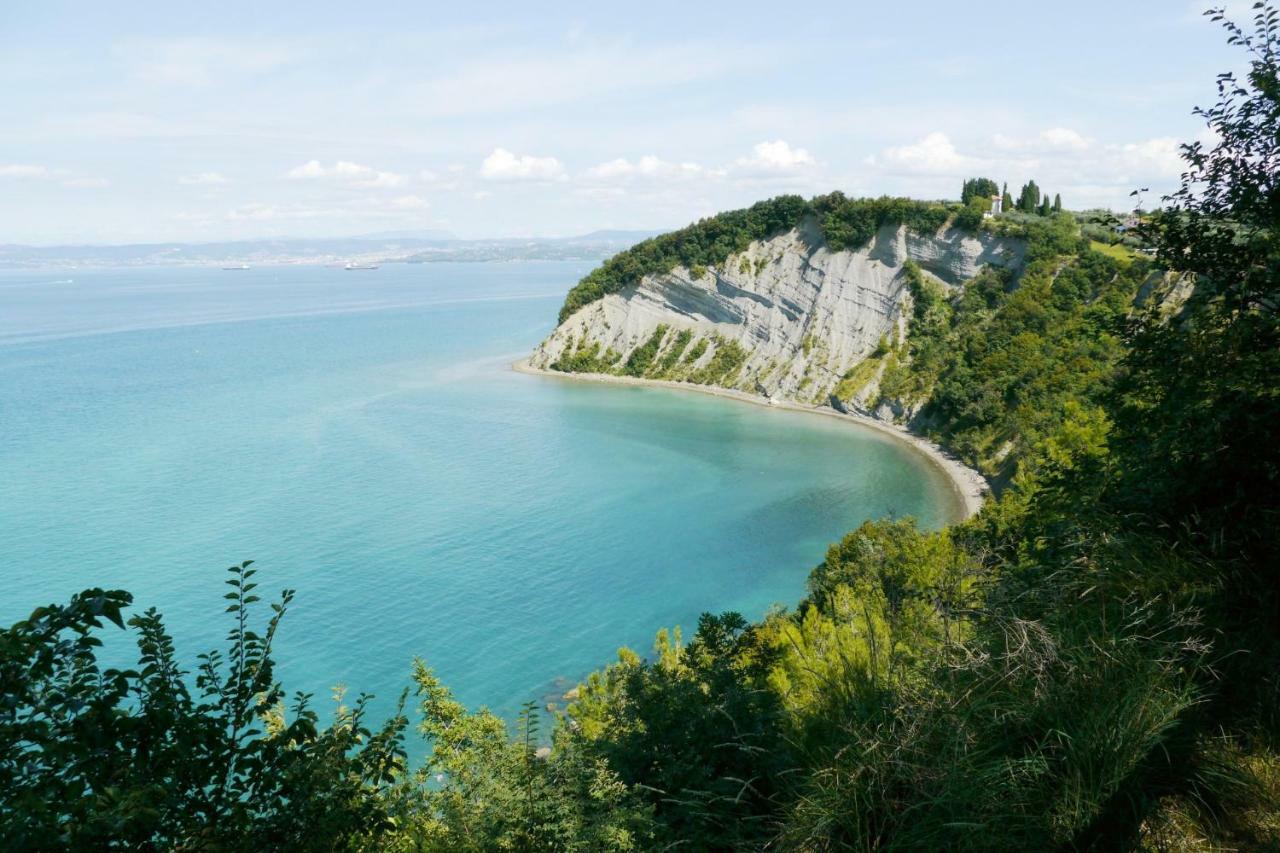 Istrian Lux Residence コペル エクステリア 写真